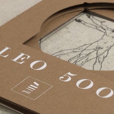 Logo LEO 500